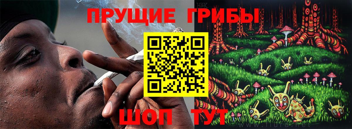 Галлюциногенные грибы Psilocybe Каспийск
