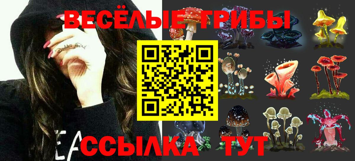 Каспийск  Псилоцибиновые грибы MAGIC MUSHROOMS  Галлюциногенные грибы прущие грибы  Вход с VPN 